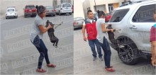 Mulher atropela acidentalmente cachorro e ao resgatá-lo ele finge estar desmaiado e a morde
