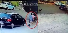Após ser abandonado, cachorro corre atrás de carro de donos na esperança de alcançá-los em Londrina; vídeo