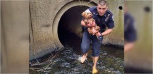 Policial perde meias e sapatos para resgatar cadela perdida em túnel