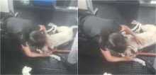 Cadela se perde em estação de metrô em São Paulo e é acalmada por segurança; vídeo