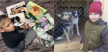 Menino de 9 anos cria pinturas de pets para trocar por comida para animais carentes - fotos