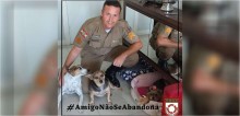 Policial militar rodoviário adota 3 cães abandonados que encontrou na rua em Santa Catarina