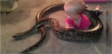 Americano polemiza ao compartilhar vídeo da sua cobra píton de 4 metros enrolada na sua filha de 1 ano