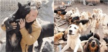Milionário investiu todo o seu dinheiro para salvar a vida de cães que viviam em matadouros na China