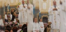 Padre leva cães de rua para missa com o propósito de atrair adotantes, mas caso não sejam adotados, ele os leva para a sua casa