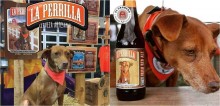 Cervejaria estampa garrafas com fotos de cães de rua e reverte parte do lucro para ajudá-los