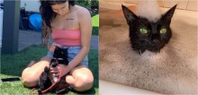 Apaixonada por banho, gata chega a chorar para a dona caso ela não a deixe entrar na banheira