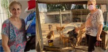 ‘Meu coração não me permite ignorar’ diz mulher que já acolheu mais de 1.000 animais