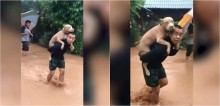 Vídeo: Homem carrega cão pit bull nas costas após ter casa destruída por enchente na Tailândia