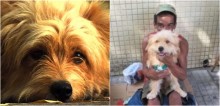 Morador de rua recusa proposta de R$ 2 mil para vender o seu cão: ‘Não vendo esse cachorro por nada, ele é a minha família’