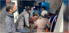 Garoto de 9 anos se perde em mata por 19 horas e tem companhia dos seus cães até chegada de socorro na Argentina