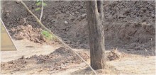 Encontre o leopardo: Fotógrafo captura imagem de felino camuflado em região terrosa e foto viraliza