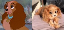 Snapchat lança filtro da Disney e internautas se divertem aplicando em seus pets