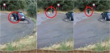 Vídeo: Mulher flagrada abandonando cão labrador de 13 anos deverá responder judicialmente por maus-tratos
