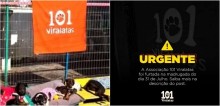 Abrigo que cuida de 300 cães abandonados é covardemente roubado por ladrões no RS