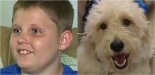 Criança diabética ganha cão goldendoodle treinado para alertá-la sobre alterações de saúde