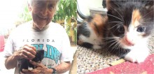Vovô acolhe gatinha e sua ninhada escondido da esposa, que não queria saber de gatos em casa