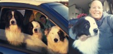 Com câncer terminal, mulher pede ajuda para que alguma família acolha seus três cães juntos