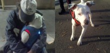 Com câncer terminal, morador de rua tem como último desejo que alguma família adote sua amada cachorrinha