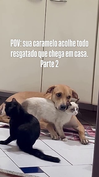 Caramela adora animais e evita humanos.