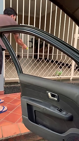 Johnathan retornou para jogar a bolinha para o cão.