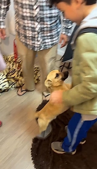 Cleeper conhecendo os irmãos humanos.