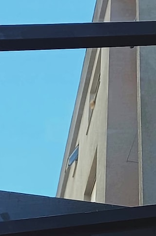 A primeira foto que Julia recebeu.