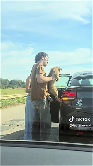 A cachorrinha estava assustada.