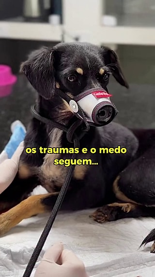 Loggi sofreu muito nas ruas.