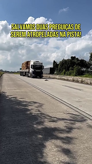 A rodovia era muito movimentada.