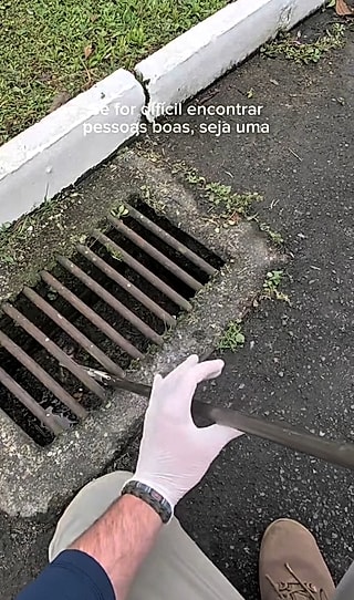 Com cuidado, o biólogo retirou os pequenos um a um.