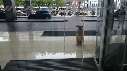 Rubio esperando por Olivia na porta do hotel