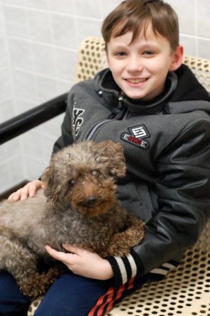 Tristan e Shey Foi amor no primeiro abraço! Foto: Liga de salvamento animal de Iowa