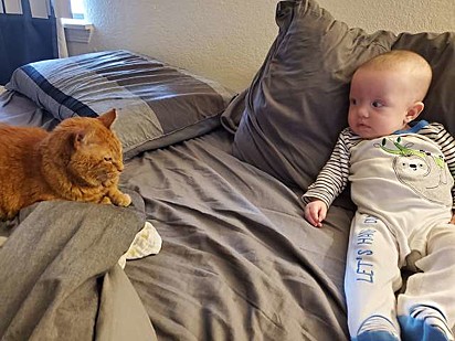 De início o gatinho ruivo se mantinha longe da bebê da família.