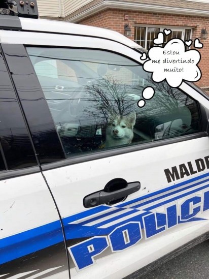 Foto: Malden Police Department / Amanda Yanovitch