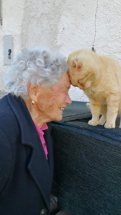 O gatinho não esqueceu de sua amada dona e retribui o carinho. (Foto: Mimma Bei/Facebook)