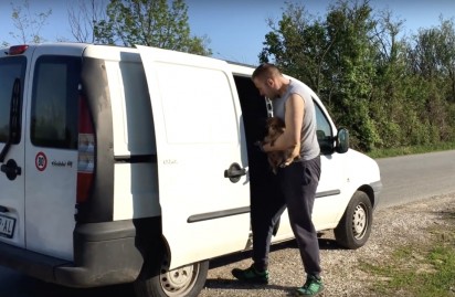 Foto: Dog Rescue Shelter Mladenovac