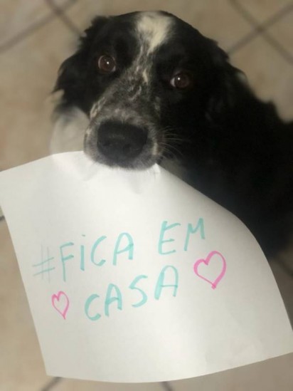 Foto: Arquivo Pessoal / Luana Iara Evaristo Vieira