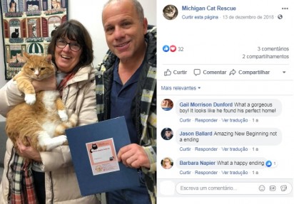 Foto: Facebook / Michigan Cat Rescue