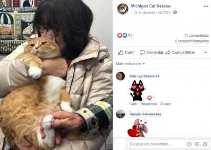 Foto: Facebook / Michigan Cat Rescue