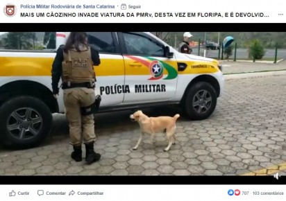 Foto: Facebook / Polícia Militar Rodoviária de Santa Catarina 