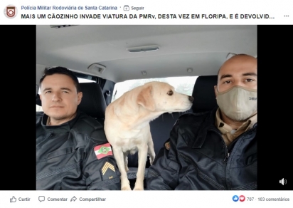 Foto: Facebook / Polícia Militar Rodoviária de Santa Catarina 