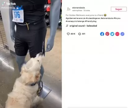 Foto: Reprodução TikTok / elonandzola