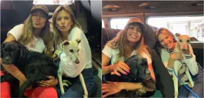 Esposa do ator Chris Hemsworth, o Thor, compartilha foto do astro tirando  uma soneca com o cão do casal