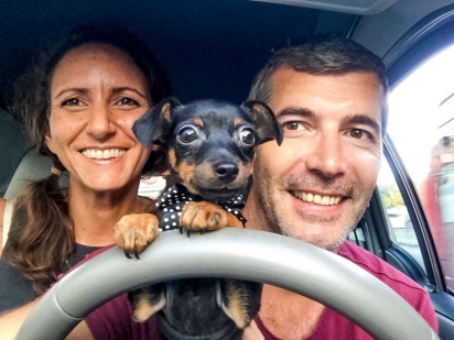 O cachorrinho Taco vive em Roma, Itália, com a dona Delfina Plaja e o seu esposo. (Foto: Foto: Arquivo Pessoal / Delfina Plaja)