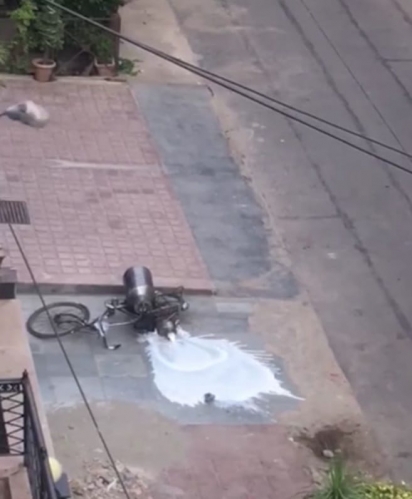 Os cães conseguem derrubar a bicicleta derramando o leite pelo chão. (Foto: Reprodução Youtube / ViralHog)