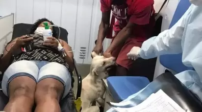 O cachorro junto com a dona na ambulância. (Foto: Reprodução Instagram / enf.vanessaguiar)