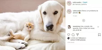 Foto: Instagram / calvin.andco