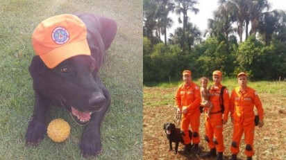 O cão bombeiro Luck, junto de sua equipe. (Instagram/@bombeirosmg)