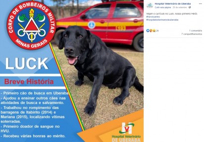 Homenagem do Hospital Veterinário de Uberaba para cão bombeiro Luck. (Foto: Facebook/Hospital Veterinário de Uberaba)
